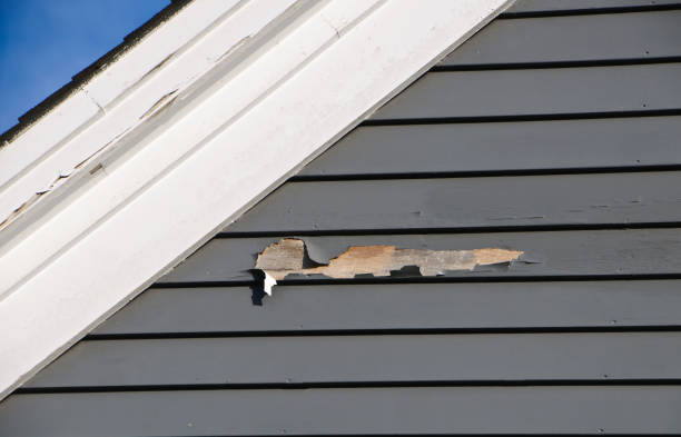 Clyde, TX Siding Installation & Repair Company